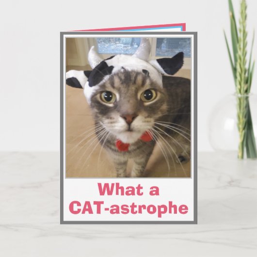 Funny Belated Geburtstag Karte (Vorderseite)