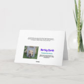 Funny Bernese Mountain Hund mit Big Nose Geburtsta Karte (Rückseite)