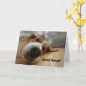 Funny Bernese Mountain Hund mit Big Nose Geburtsta Karte (Gelbe Blume)