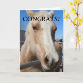 Funny Beruflich Graduate Herzlichen Glückwunsch Pf Karte (Gelbe Blume)