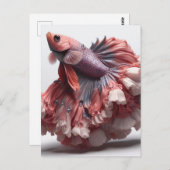 Funny Betta Fish Mode Postkarte (Vorne/Hinten)