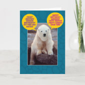 Funny Bi-Polar Birthday Bear Karte (Vorderseite)