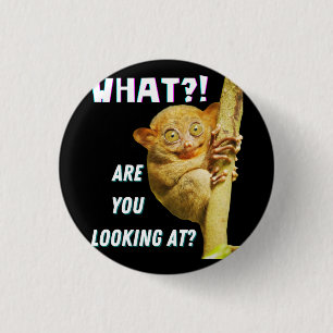 Funny Big Mit Augen Tarsier Was Sie sehen Button