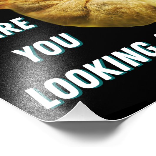 Funny Big Mit Augen Tarsier Was Sie sehen Fotodruck (Ecke)