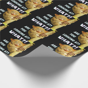 Funny Big Mit Augen Tarsier Was Sie sehen Geschenkpapier