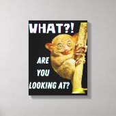 Funny Big Mit Augen Tarsier Was Sie sehen Leinwanddruck (Vorderseite)