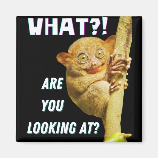 Funny Big Mit Augen Tarsier Was Sie sehen Magnet (Vorne)