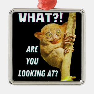 Funny Big Mit Augen Tarsier Was Sie sehen Ornament Aus Metall