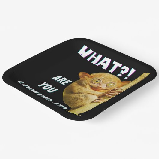Funny Big Mit Augen Tarsier Was Sie sehen Pappteller (Gewinkelt)