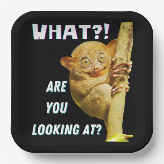 Funny Big Mit Augen Tarsier Was Sie sehen Pappteller (Vorderseite)