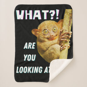 Funny Big Mit Augen Tarsier Was Sie sehen Sherpadecke