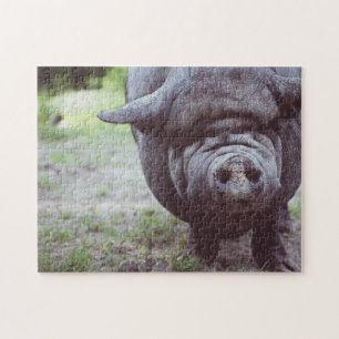 Funny Big Pig Posing für Kamera Puzzle