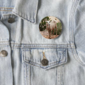 Funny Bighorn Sheep im Zion Nationalpark Button (Beispiel)