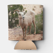 Funny Bighorn Sheep im Zion Nationalpark Dosenkühler (Rückseite)