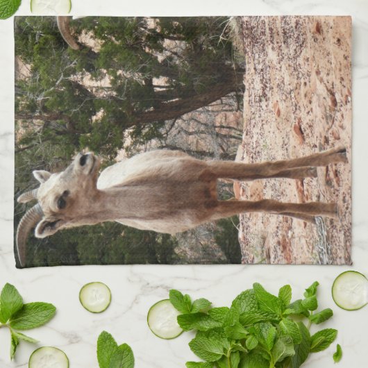 Funny Bighorn Sheep im Zion Nationalpark Geschirrtuch (Gefaltet)