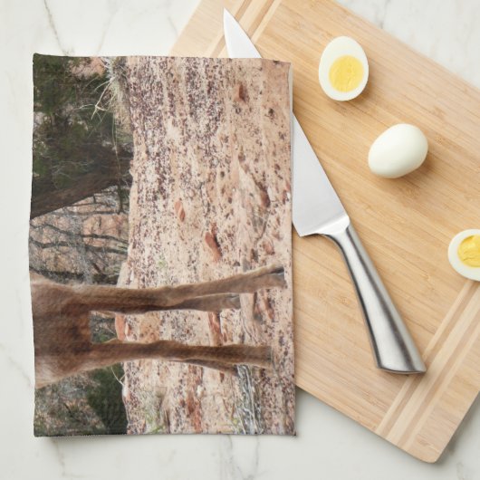 Funny Bighorn Sheep im Zion Nationalpark Geschirrtuch (Viertel Falte)