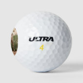 Funny Bighorn Sheep im Zion Nationalpark Golfball (Logo)