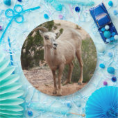 Funny Bighorn Sheep im Zion Nationalpark Pappteller (Party)