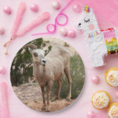 Funny Bighorn Sheep im Zion Nationalpark Pappteller (Party)