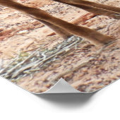 Funny Bighorn Sheep im Zion Nationalpark Poster (Ecke)