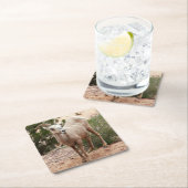 Funny Bighorn Sheep im Zion Nationalpark Rechteckiger Pappuntersetzer (Vor Ort)