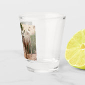 Funny Bighorn Sheep im Zion Nationalpark Schnapsglas (Rechts)