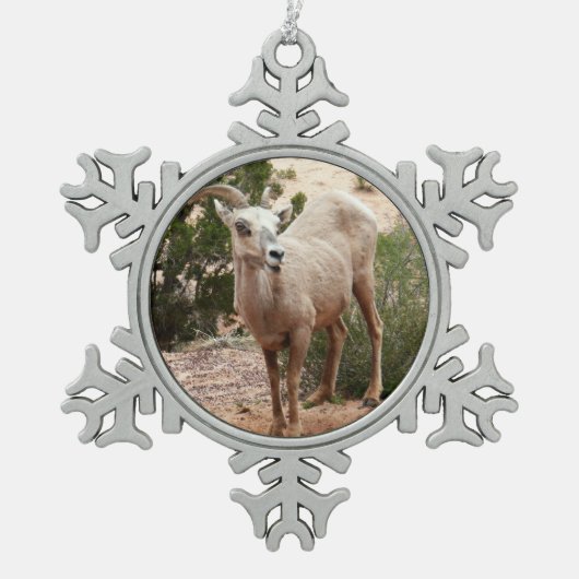 Funny Bighorn Sheep im Zion Nationalpark Schneeflocken Zinn-Ornament (Vorderseite)