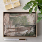 Funny Bighorn Sheep im Zion Nationalpark Seidenpapier (Geschenk)