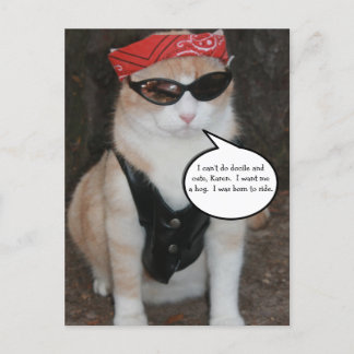 Funny Biker Cat Meme Postkarte