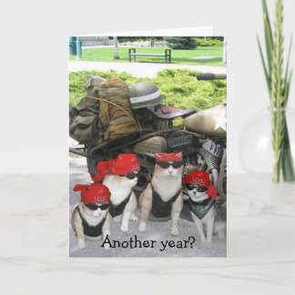 Funny Biker Cats Birthday Karte