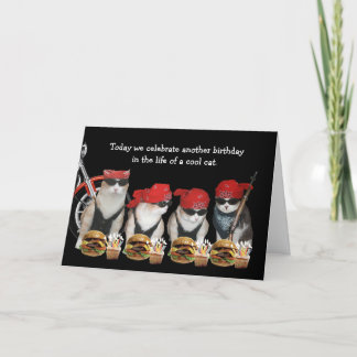 Funny Biker Cats Geburtstagskarte Karte