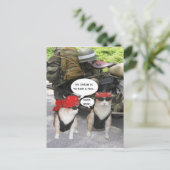 Funny Biker Cats Postkarte (Stehend Vorderseite)