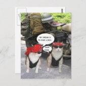 Funny Biker Cats Postkarte (Vorne/Hinten)