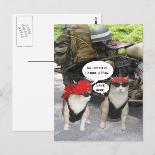 Funny Biker Cats Postkarte (Vorne/Hinten)