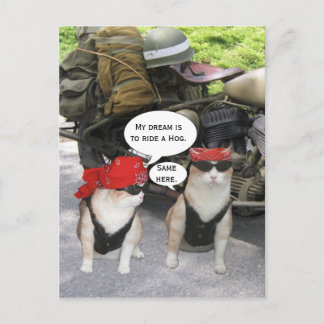 Funny Biker Cats Postkarte