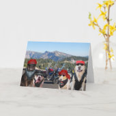 Funny Biker Hunde auf einem Berg Geburtstag Karte (Gelbe Blume)
