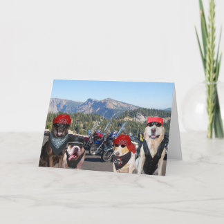 Funny Biker Hunde auf einem Berg Geburtstag Karte
