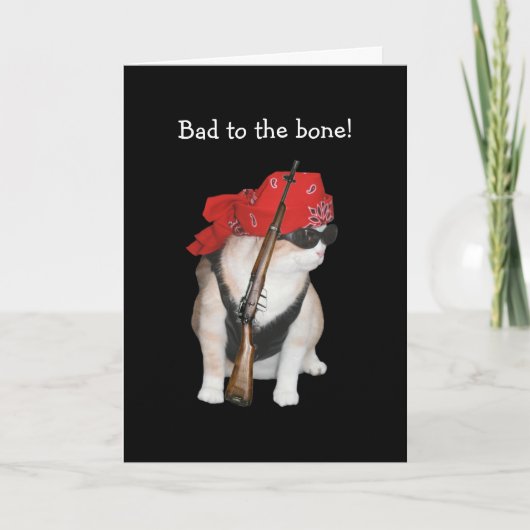 Funny Biker/Nonkonformist Cat Birthday Karte (Vorderseite)