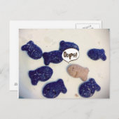 Funny: Bin ich am falschen Ort? Postkarte (Vorne/Hinten)