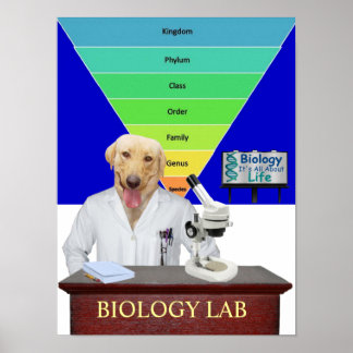 Funny Biology Labrador Poster für Lehrer