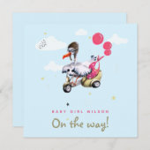 Funny Bird Pink Ballon Girl Einfache Niedliche Sch Ankündigung (Vorne/Hinten)