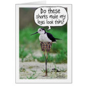 FUNNY BIRD SHORD Card oder Geschenk (Vorne)