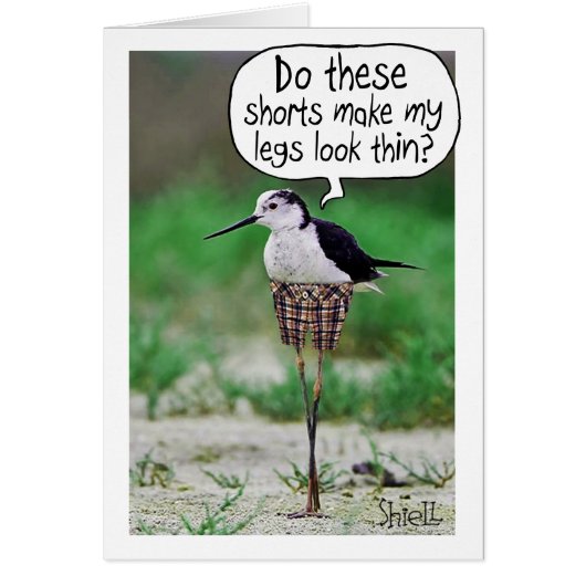 FUNNY BIRD SHORD Card oder Geschenk (Vorne)