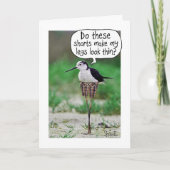 FUNNY BIRD SHORD Card oder Geschenk Karte (Vorderseite)