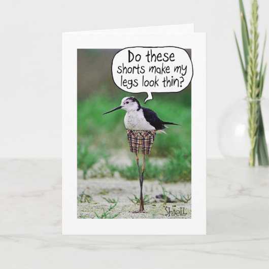 FUNNY BIRD SHORD Card oder Geschenk Karte (Vorderseite)
