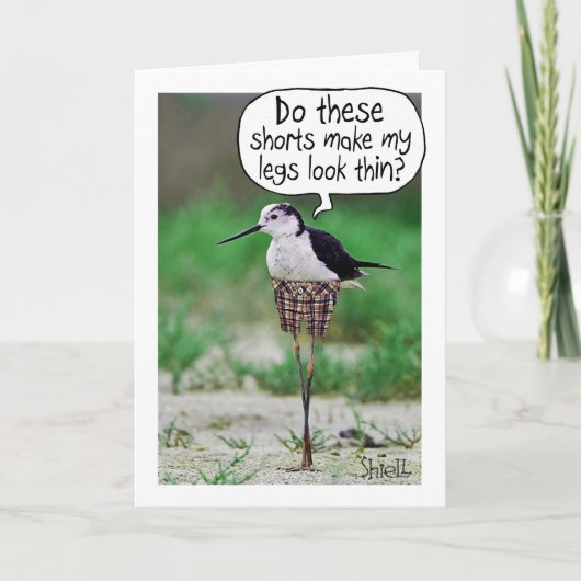 FUNNY BIRD SHORD Card oder Geschenk Karte (Vorderseite)