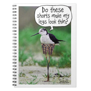 FUNNY BIRD SHORD Card oder Geschenk Notizblock