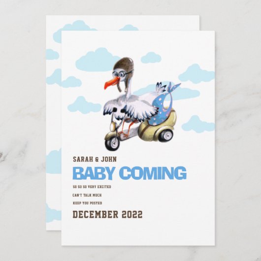 Funny Bird Simple Cute Modern Boy Pregnancy Ankündigung (Vorne/Hinten)