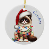 Funny Birman Cat Wrackte in Weihnachtslicht Keramik Ornament (Vorne)