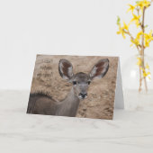 funny birthday antelope, can't believe my ears! karte (Gelbe Blume)